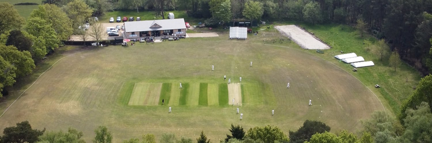 Paultons Cricket banner