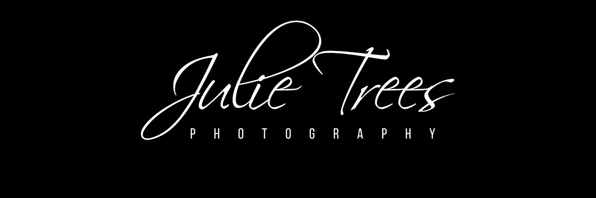 Julie Trees Photography banner