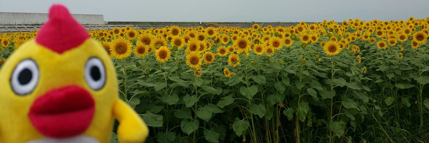 cherizooo's profile banner image