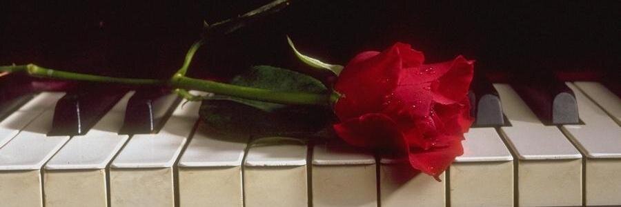05hemant05's profile banner image