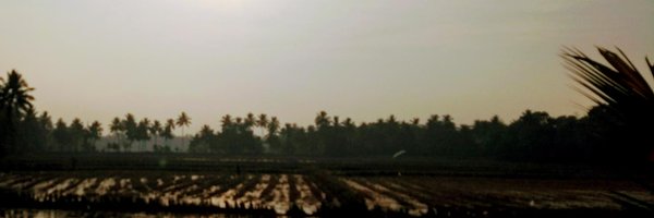CarozziFelipe Profile Banner