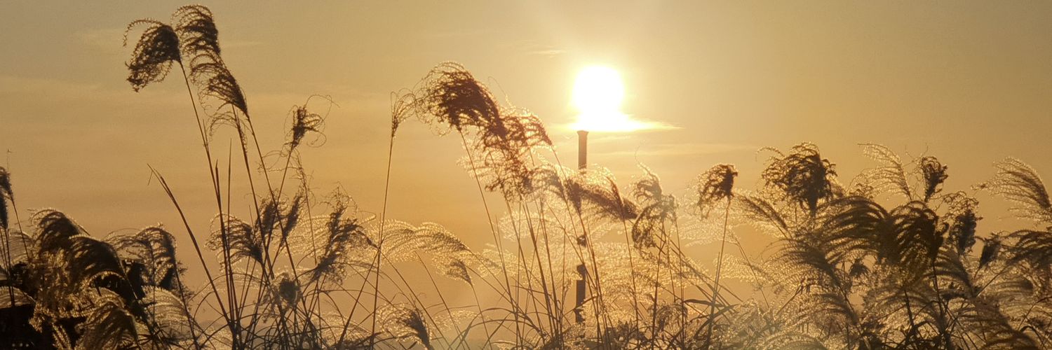 GaNda4ever15's profile banner image