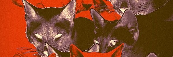 Z0MBIE_GUTS Profile Banner