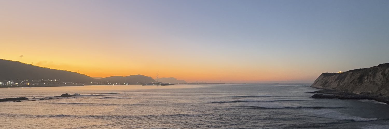 895 FauxParigo banner