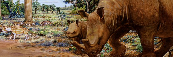 PaleoLaura Profile Banner