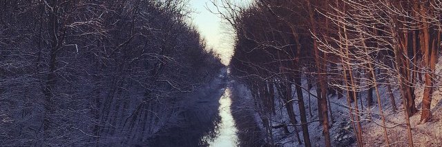 ihvstgn's profile banner image