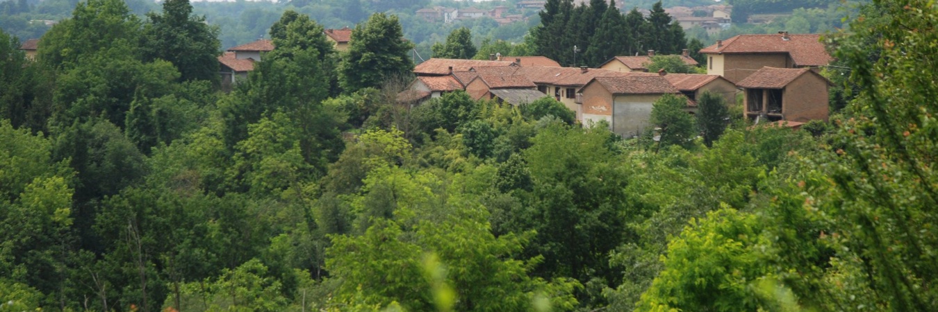ArchitettaSte's profile banner image