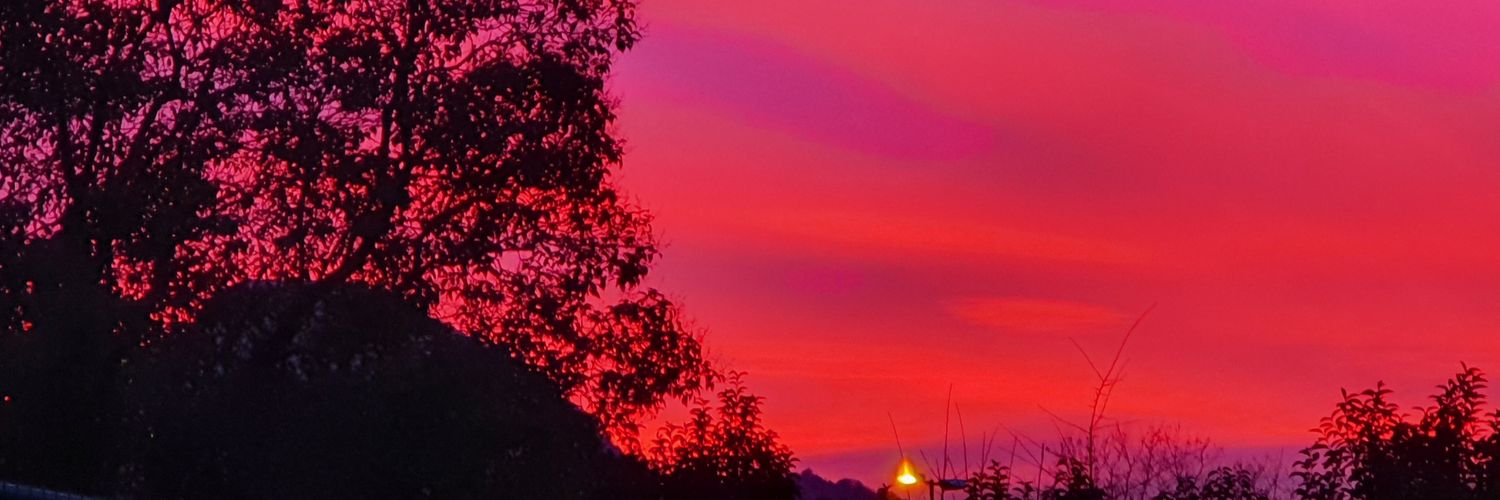 Lil_Knits!!🌜🐈‍⬛ ... 🧶🎨📚 banner