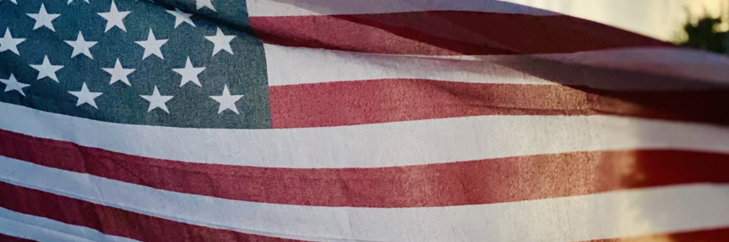 AmyDShields's profile banner image