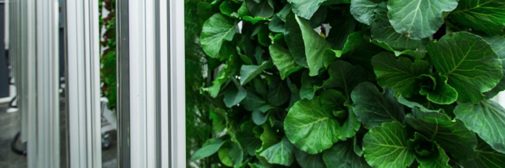 UpstartFarmers's profile banner image
