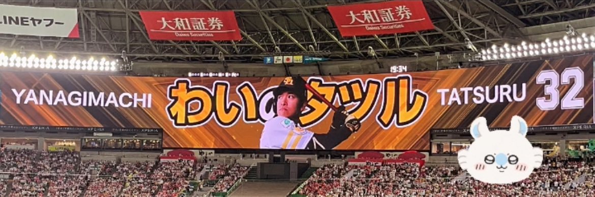 ⚾️🐰🎀 banner