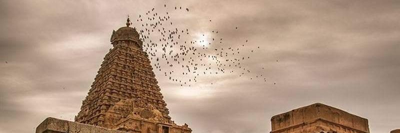 RascolBalaji's profile banner image