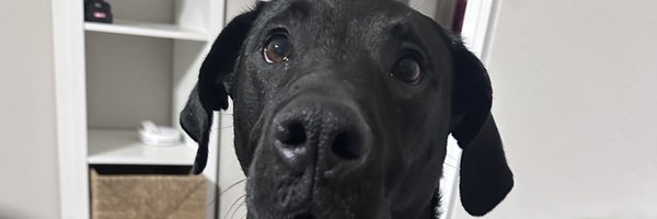 jbo_05 Profile Banner