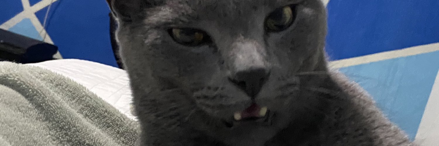 Lannaxl's profile banner image