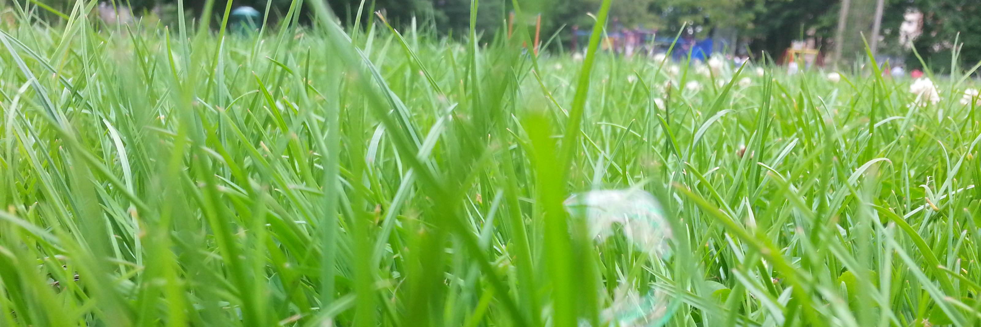 peterfoley10's profile banner image