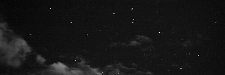 Monica🌹 banner