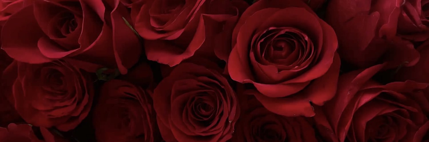 moniczzle's profile banner image