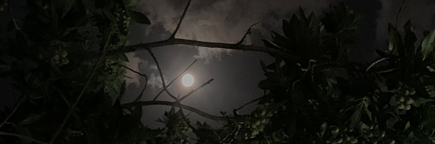 fiii23_'s profile banner image