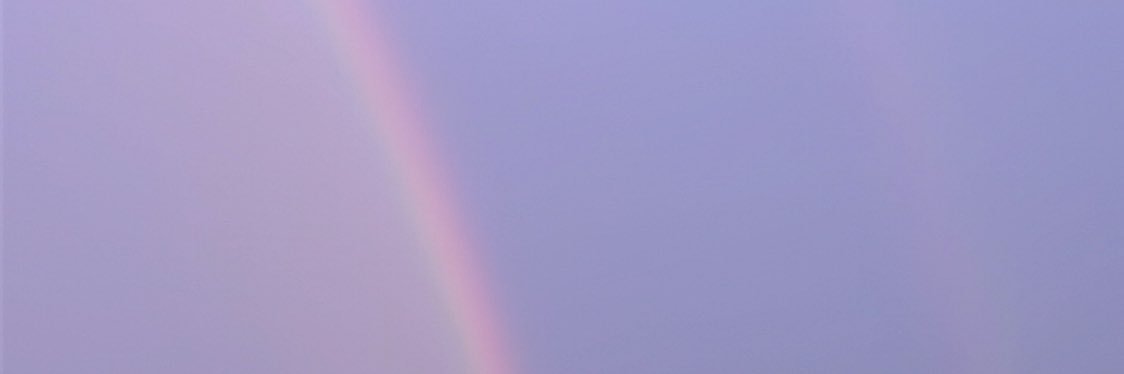 bprebeca's profile banner image