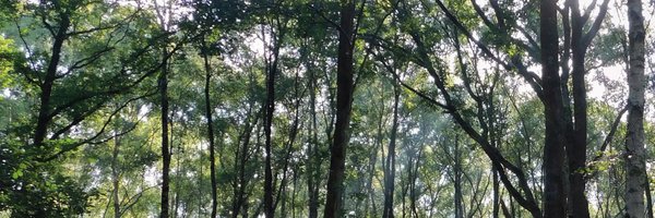 EppingForestHT Profile Banner