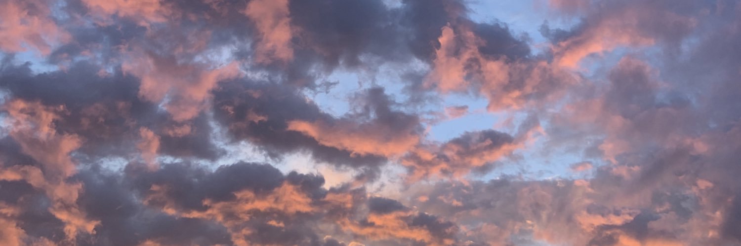 paxton chitty banner