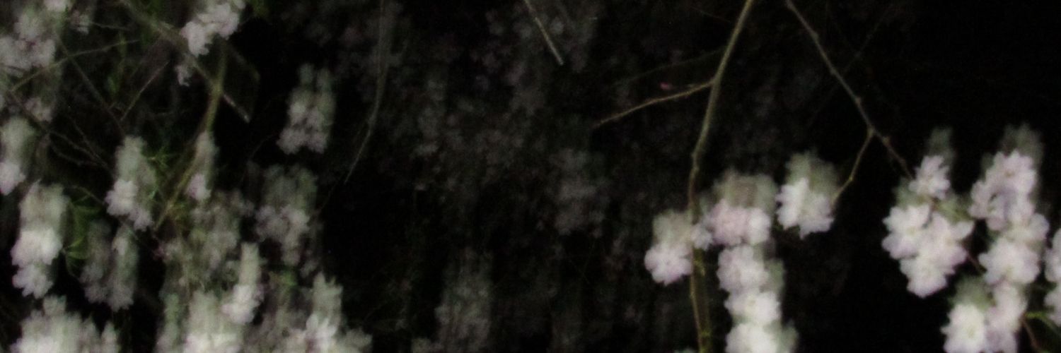 castra❇️✨🍃 banner