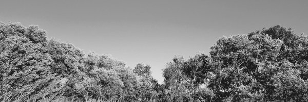 vumico Profile Banner