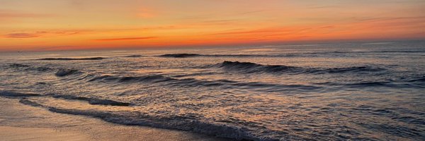 shawnwahi Profile Banner