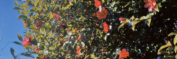 rk_yama24 Profile Banner