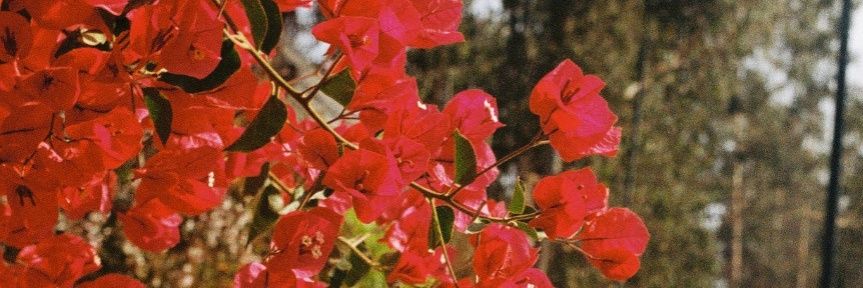 ignrbk's profile banner image