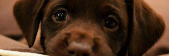 TessDurham's profile banner image