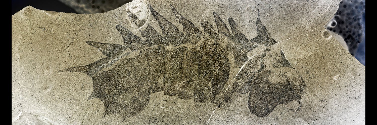 Rudy Lerosey-Aubril banner