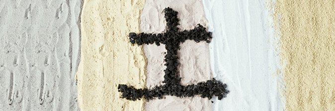 藤井一至 (土の研究者)'s banner