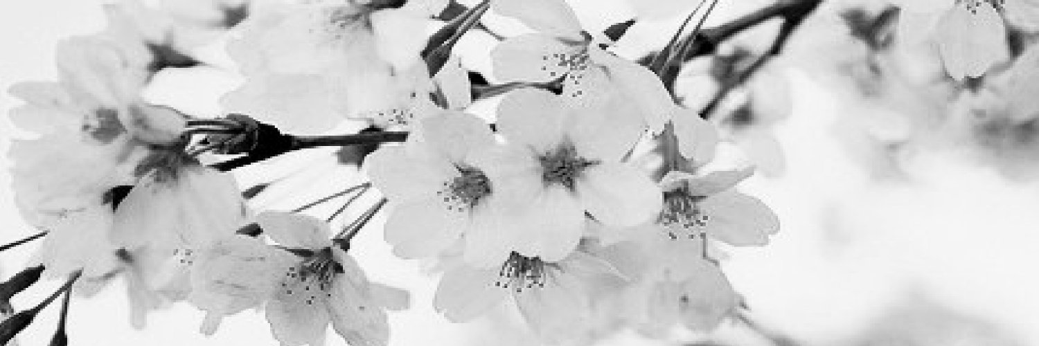 ラプコーリニコプ banner