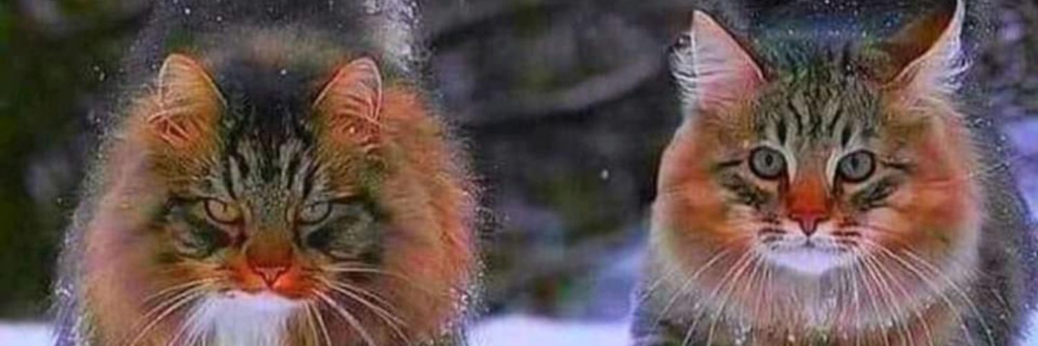 Capitaine MIDi banner