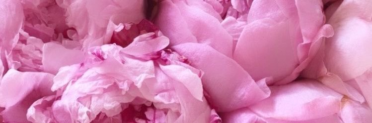 AndreAlmeida83's profile banner image