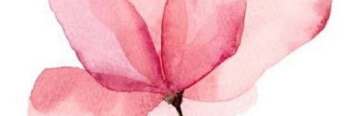 Paulina Andrea Bonilla R. banner