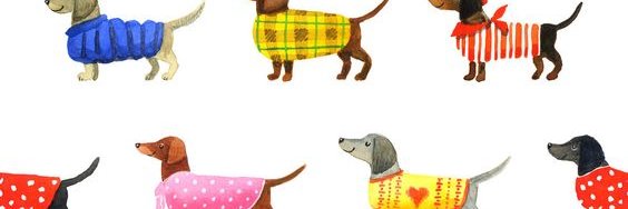 Вікашьян banner