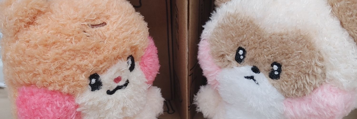 ˶•_•˶ ⑅ ˚₊ banner