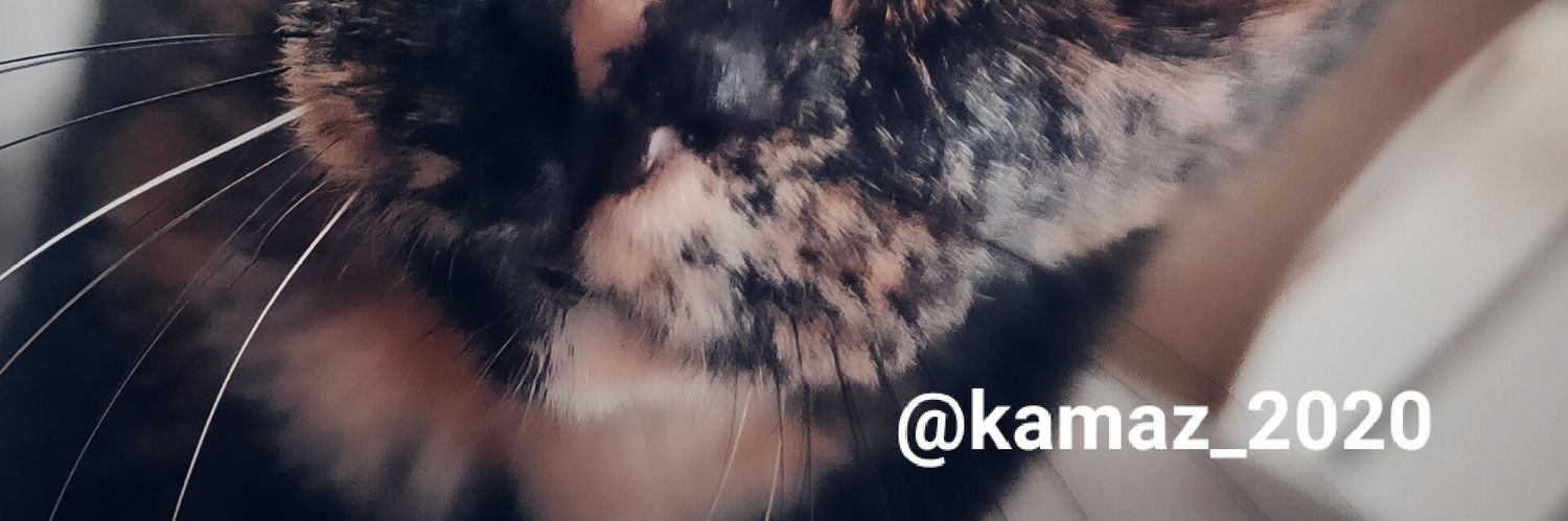 kamaz's banner