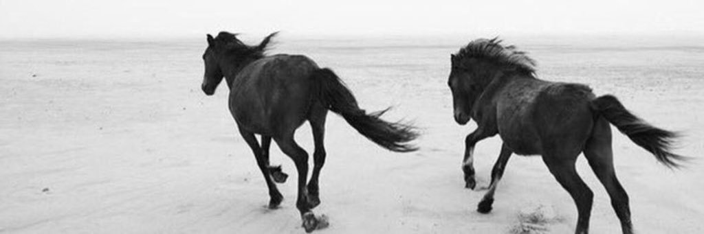 ‏ ‏ ﮼امـيـره 🖤 banner