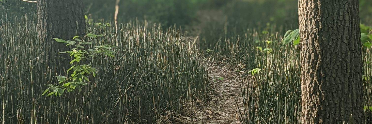 maeymurs's profile banner image