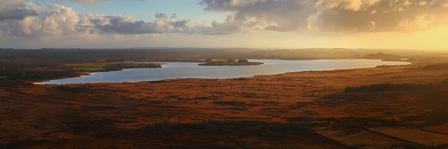 Alexandre Plougoulen banner