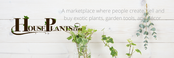 uworld66 Profile Banner