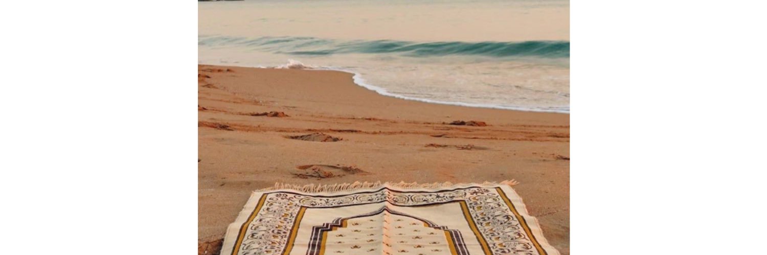 citramsh's profile banner image
