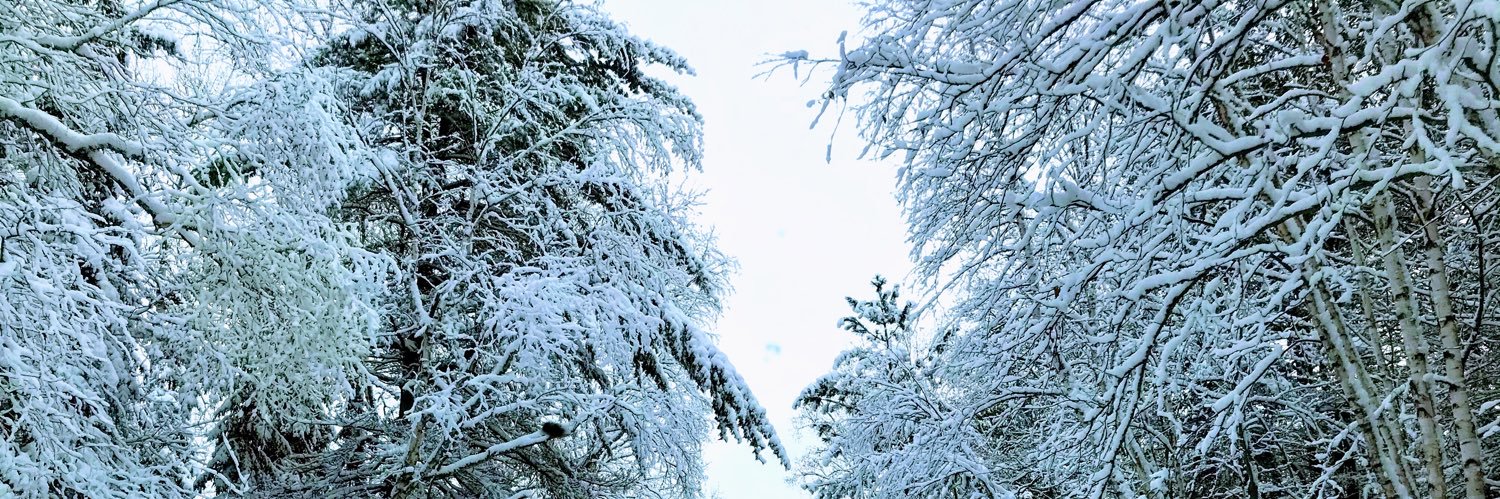 dddesrochers's profile banner image