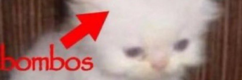zkandev's profile banner image