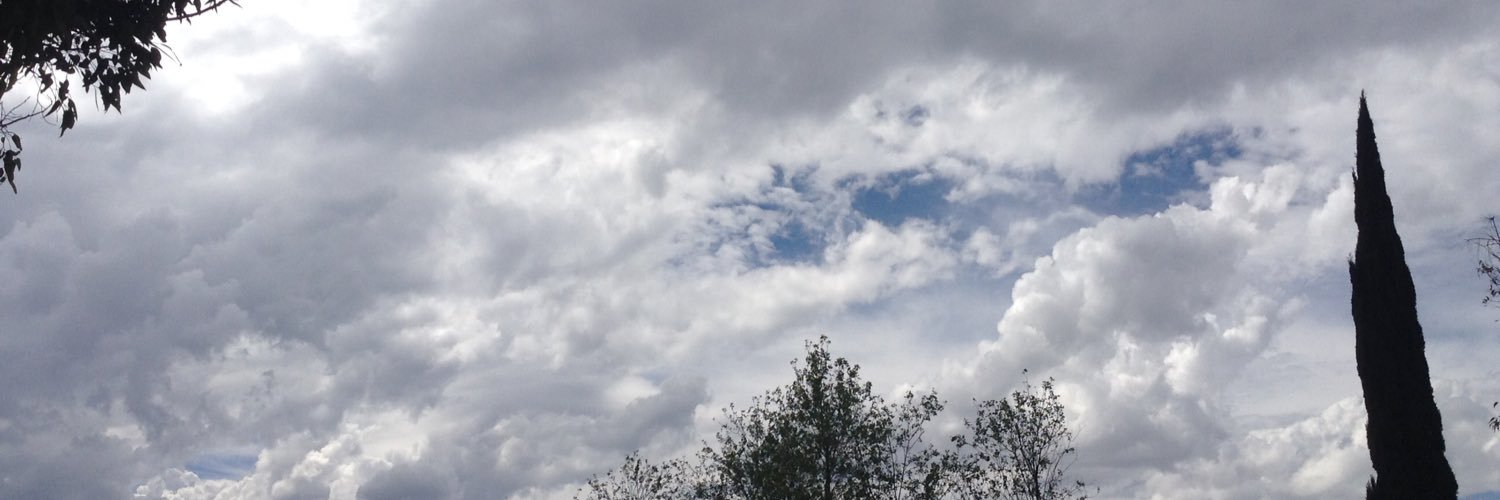 HdzAlee's profile banner image