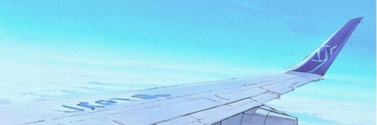よう✈消費に飽きたミニマリスト banner