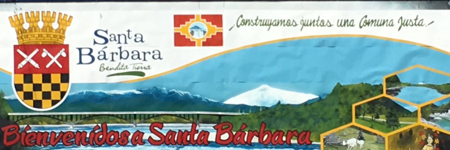 Yanella con Y🌼 banner